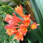 Margaret Vickers - @vickers2924 - Instagram