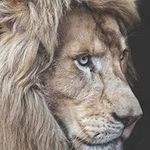 Margaret vickers - @margaretvicker - Instagram