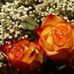 Margaret Vieth - Facebook