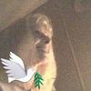 Margaret Voss Richards - @margaret.voss.ric - TikTok
