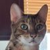 Margaret Wacker - Facebook