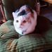 Margaret Wald - Facebook