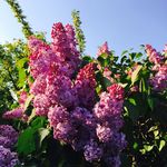 Margaret Waldner - @margaret_waldner - Instagram