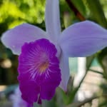 Margaret Wallen - @wallen1767 - Instagram