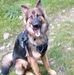 Margaret Wallen - Facebook