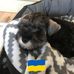 Margareta Wallén - Facebook