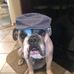 Margaret Wein - Facebook