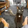 Margaret Weinstein - @margaret.weinstei6 - TikTok