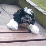 Margaret Whyte - @whyte_margaret - Instagram