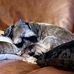 Margaret Widger - Facebook