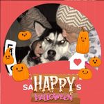 Margaret Willard - @margaret.willard.50 - Instagram
