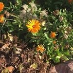 Margaret Winders - @margaretwinders - Instagram