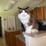 Margaret Gwinner - @margaret.gwinner - Instagram