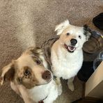 Margaret Witham - Facebook