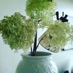 Margaret Witham - @withamargaret - Instagram