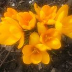 Margaret Woolley - @woolley.marg - Instagram