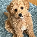 Margaret Worthington - @margaretworthington2020 - Instagram