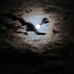Margret Wulff - @margret_wulff - Instagram