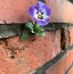 Margret Wunderlich - Facebook