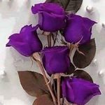 Margareta Herman - @margareta.herman.18 - Instagram