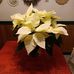 Margarete Schmidt - Facebook