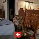 Margarete Schmidt - @margarete.schmidt - Instagram
