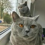 Margarete Schmidt - @margarete.543 - Instagram