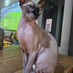 Margarete Schmidt Almeida - @margareteschmidtalmeida - Instagram