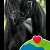 Margarito Camacho - Facebook