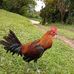 Margarito Carrillo - Facebook