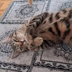 Amandine Margaux Lee - Facebook