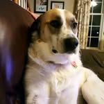 Marge Bailey Roberts - @margebaileyroberts - Instagram