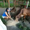 margebarria - @margebarria - TikTok