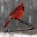 Marge Barrett - Facebook