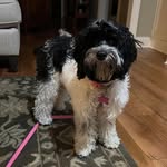 Margie Berry Cunningham - @margiec2 - Instagram