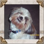 Margie Bowen - @bowenmargie - Instagram