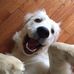 Margery Bower - Facebook