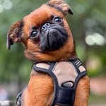 Marge Brown - @mbrown2403 - Instagram