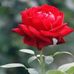 Marrj Khan - Facebook