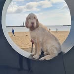 Margaret Ord-Callaghan - @ordcallaghan - Instagram