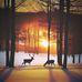 Margie Carter - Facebook