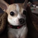 Marge Waltiere-Cole - @margewaltiere - Instagram