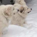 Marge Cook Haller - @mchaller1216 - Instagram