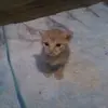 Margaret Cramer - @margaret.cramer90 - TikTok