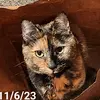 💕margecrossbobbiesmama2😻 - @margecrossbobbiesmama1 - TikTok