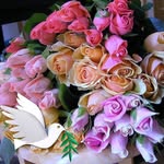 Marge Barnes Daly - @01marge02 - Instagram