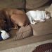 Marge Dean - Facebook