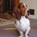 Marge Dean - @margedean1 - Instagram