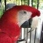 Marge Dillon - @petsmom1 - Instagram