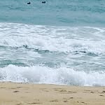 margie dillon - @margied77 - Instagram